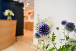 Hotel Victoire et Germain